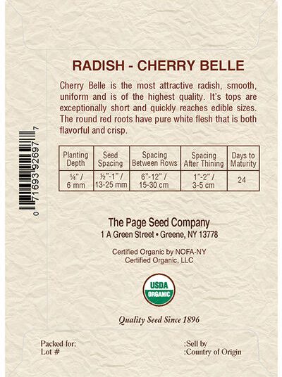 Radish Cherry Belle