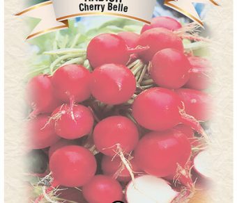 Radish Cherry Belle