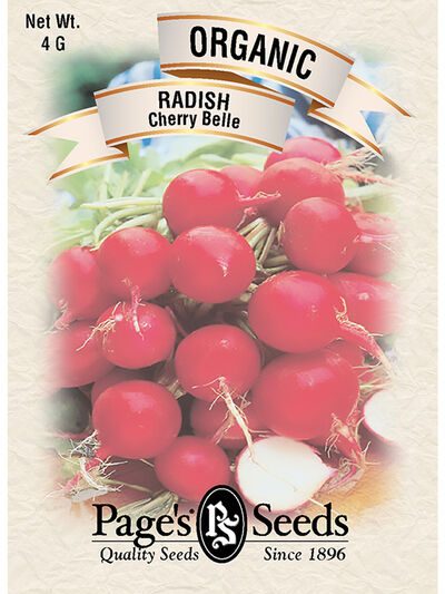 Radish Cherry Belle