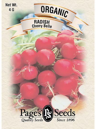Radish Cherry Belle
