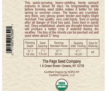 Spinach Bloomsdale