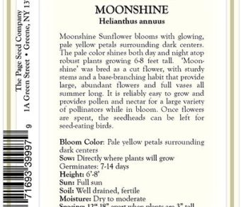 Sunflower – Moonshine