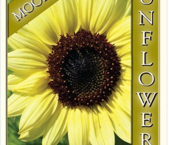 Sunflower – Moonshine