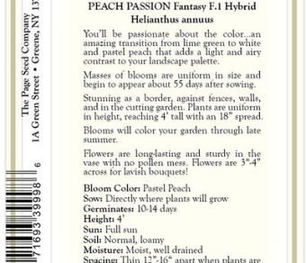 Sunflower – Peach Passion (Fantasy F1 Hybrid)