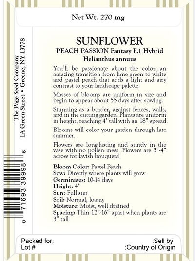 Sunflower – Peach Passion (Fantasy F1 Hybrid)