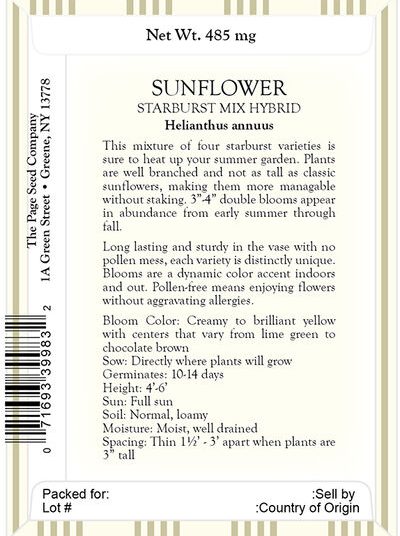 Sunflower – Starburst Mix Hybrid