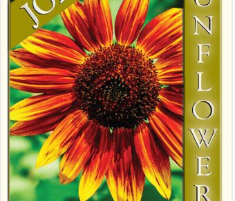 Sunflower – Joker