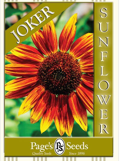 Sunflower – Joker