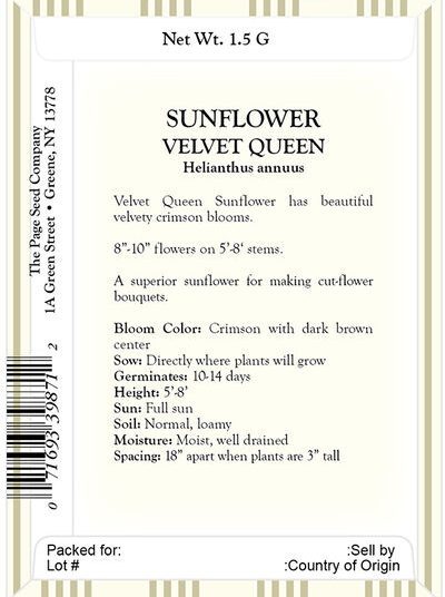 Sunflower – Velvet Queen