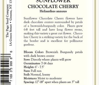 Sunflower – Chocolate Cherry