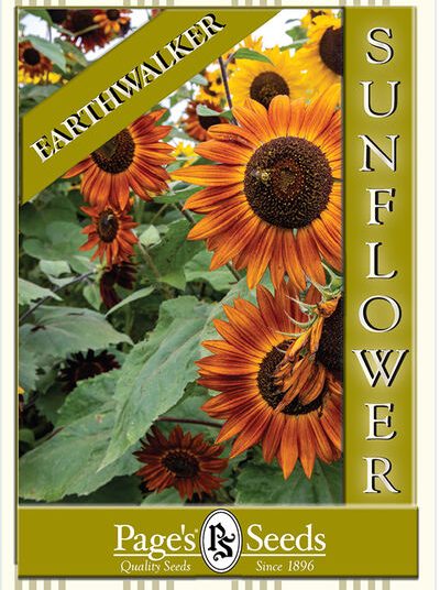 Sunflower – Earthwalker