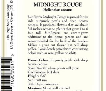 Sunflower – Midnight Rouge