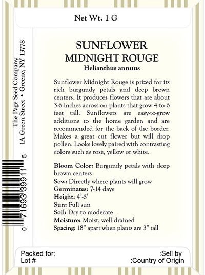 Sunflower – Midnight Rouge