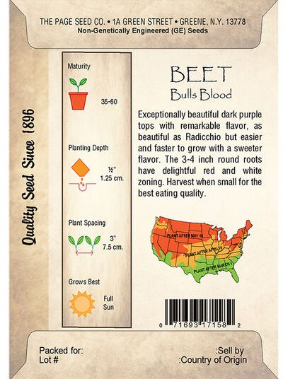 Beet, Bulls Blood