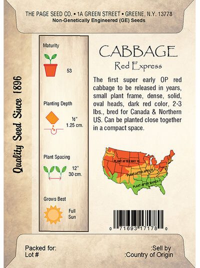 Cabbage, Red Express