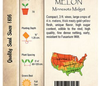 Melon, Minnesota Midget