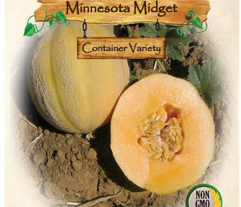 Melon, Minnesota Midget