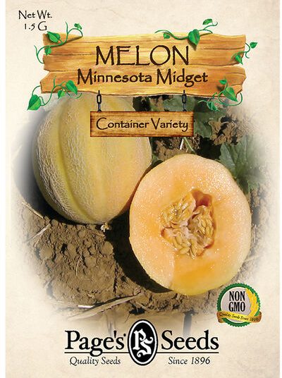 Melon, Minnesota Midget