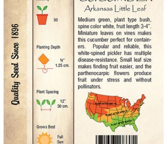 Cucumber, Arkansas Little Leaf