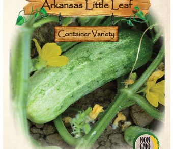 Cucumber, Arkansas Little Leaf