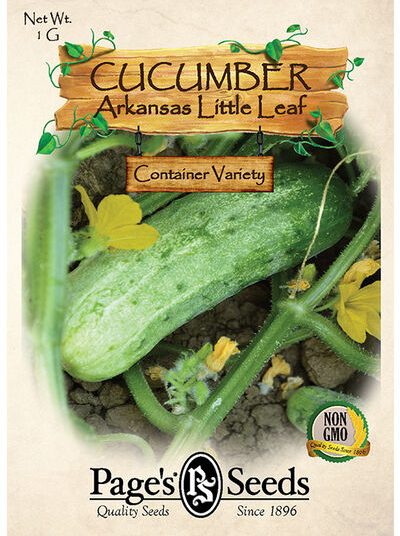 Cucumber, Arkansas Little Leaf
