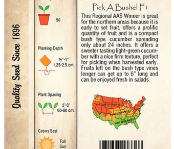 Cucumber, Pick a Bushel F1