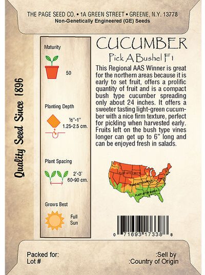 Cucumber, Pick a Bushel F1