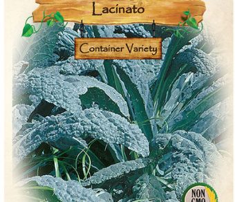 Kale, Lacinato