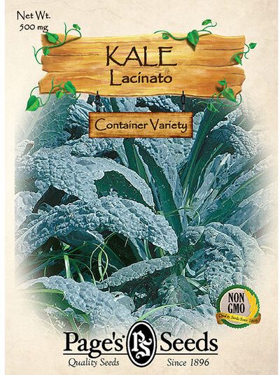Kale, Lacinato