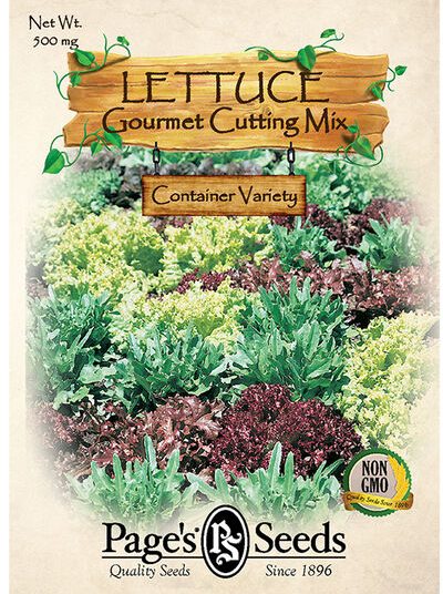 Lettuce, Gourmet Cutting Mix