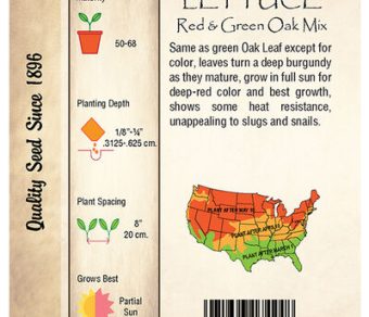 Lettuce, Red & Green Oak Mix
