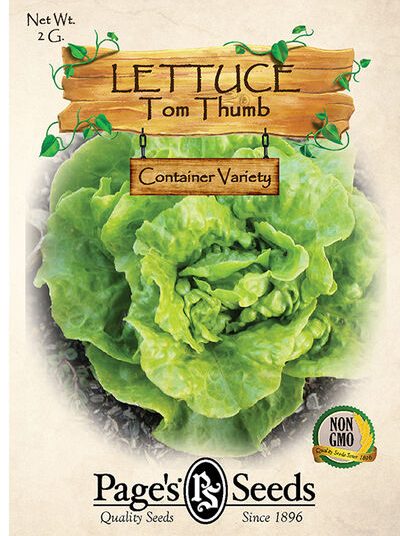 Lettuce, Tom Thumb