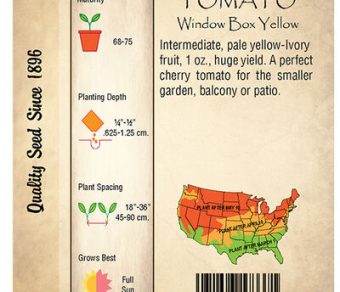 Tomato, Window Box Yellow