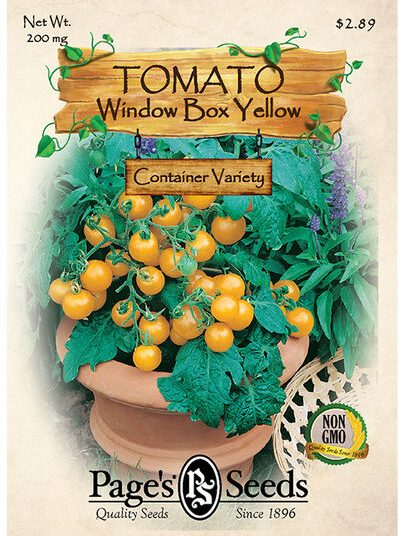 Tomato, Window Box Yellow