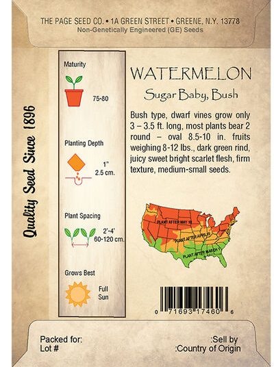 Watermelon, Sugar Baby, Bush