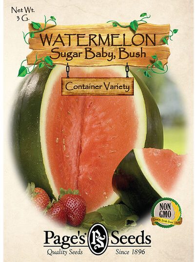 Watermelon, Sugar Baby, Bush