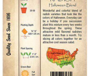 Radish, Halloween Blend