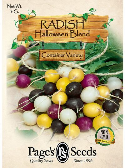 Radish, Halloween Blend