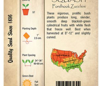 Squash, Fordhook Zucchini