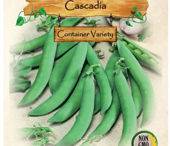 Pea Cascadia
